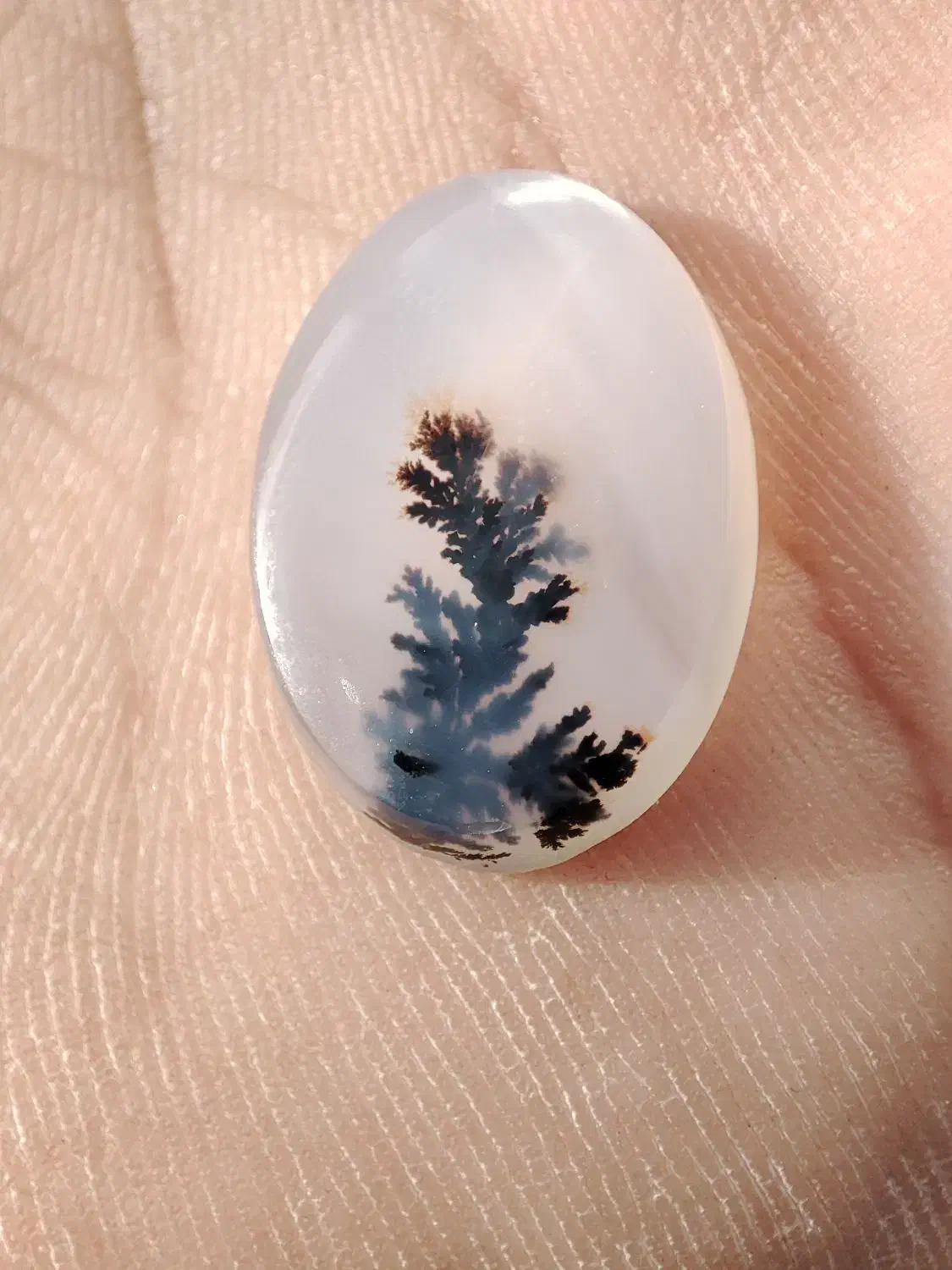 شجر|جواهرات|نورآباد, |دیوار