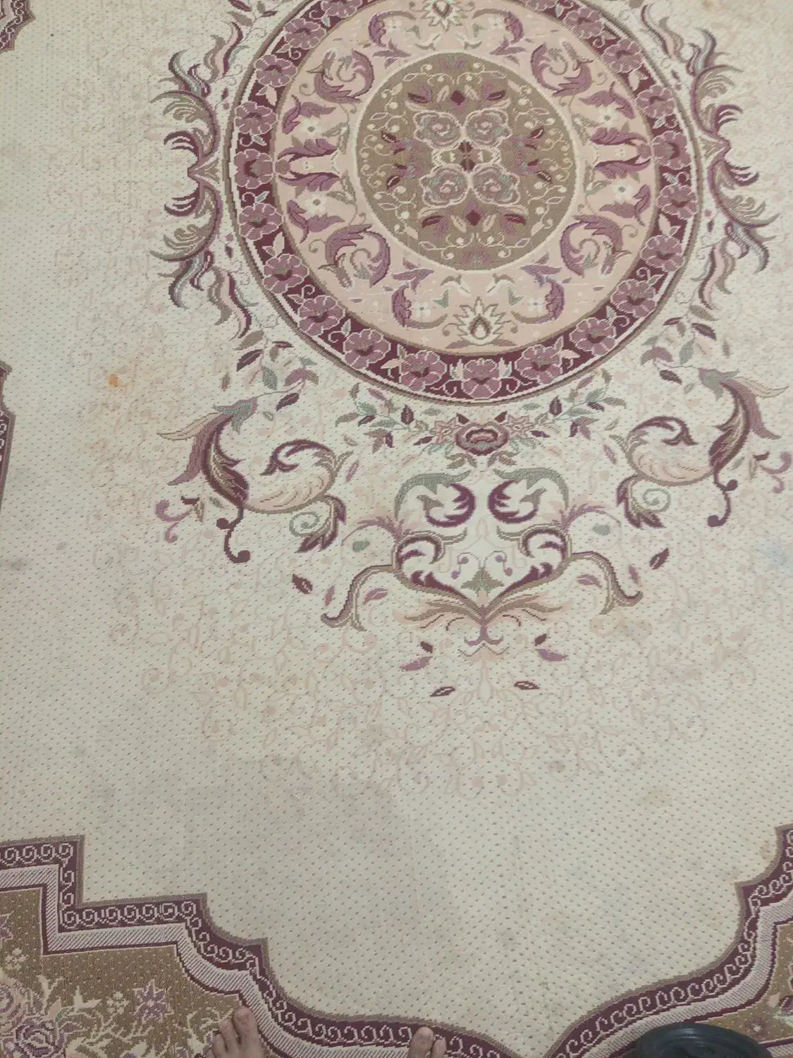 یک عدد رو فرشی|روفرشی|بندرعباس, |دیوار