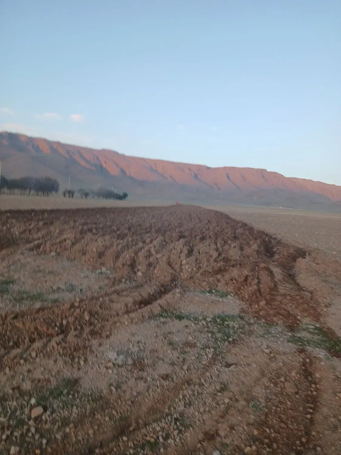 فروش 25 هکتار زمین کشاورزی گل قرمز دربست|فروش دفتر صنعتی، کشاورزی، تجاری|حسن آباد, |دیوار