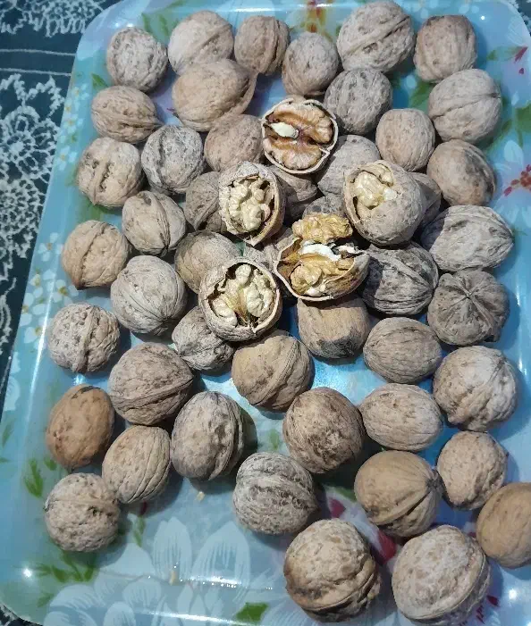 گردوی پرچرب تویسرکان|عمده‌فروشی|تویسرکان, |دیوار