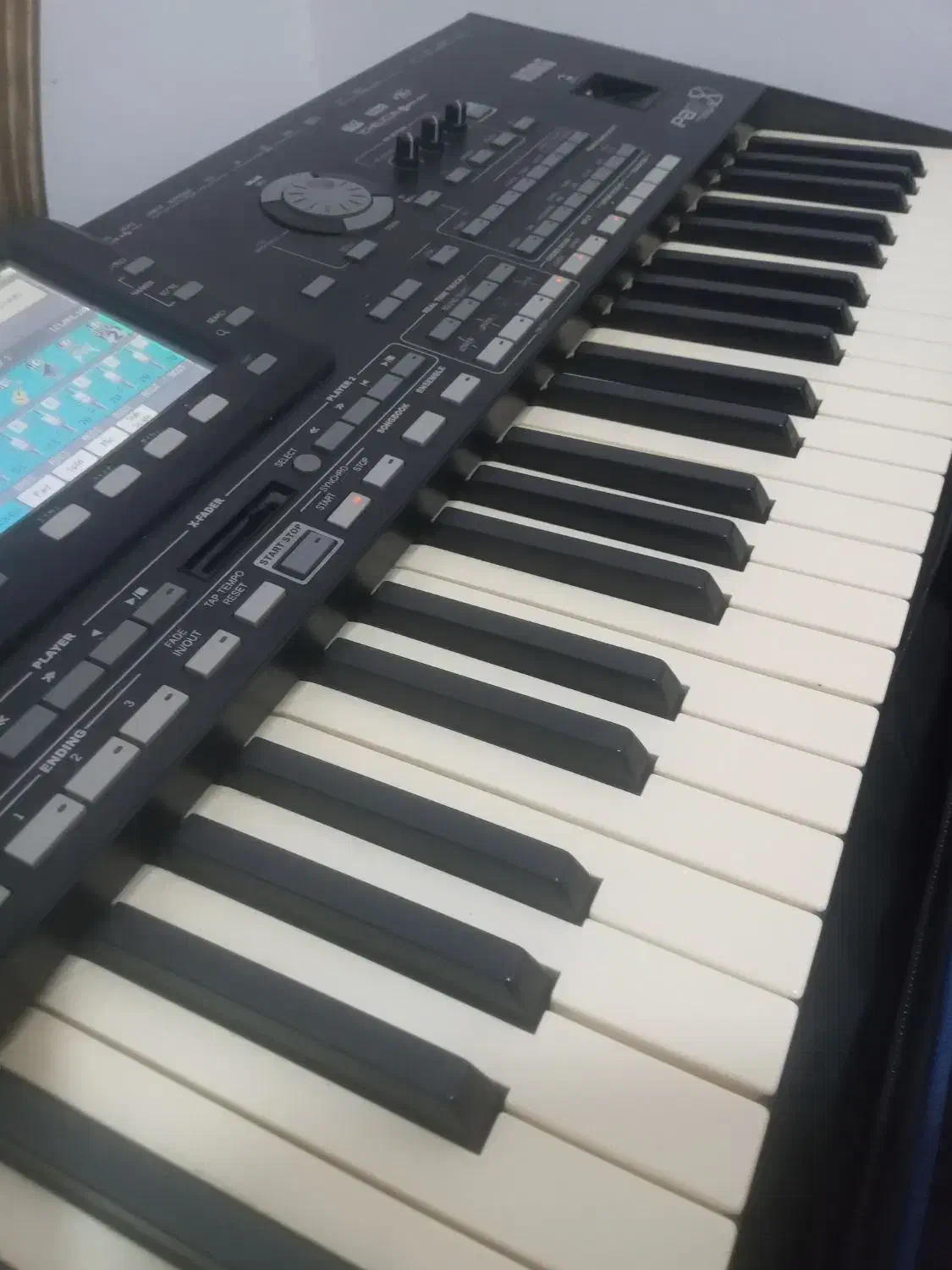 ارگ pa3x|پیانو، کیبورد، آکاردئون|رشت, پل تالشان|دیوار