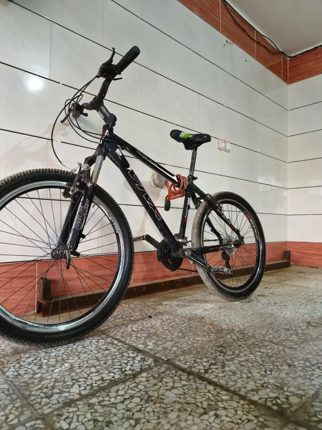 دوچرخه ویوا|دوچرخه، اسکیت، اسکوتر|شاهین‌شهر, خانه کارگر|دیوار