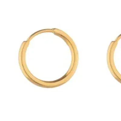 لنگه گوشواره پیدا شده|اشیا|زنجان, |دیوار