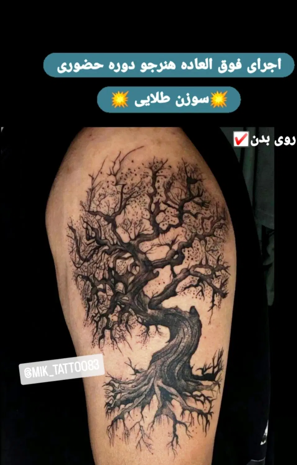 آموزش تتو بدن حرفه ای، سه بعدی، رنگی،تضمینی|خدمات زیبایی و سلامت|شیراز, شهرک سراج|دیوار