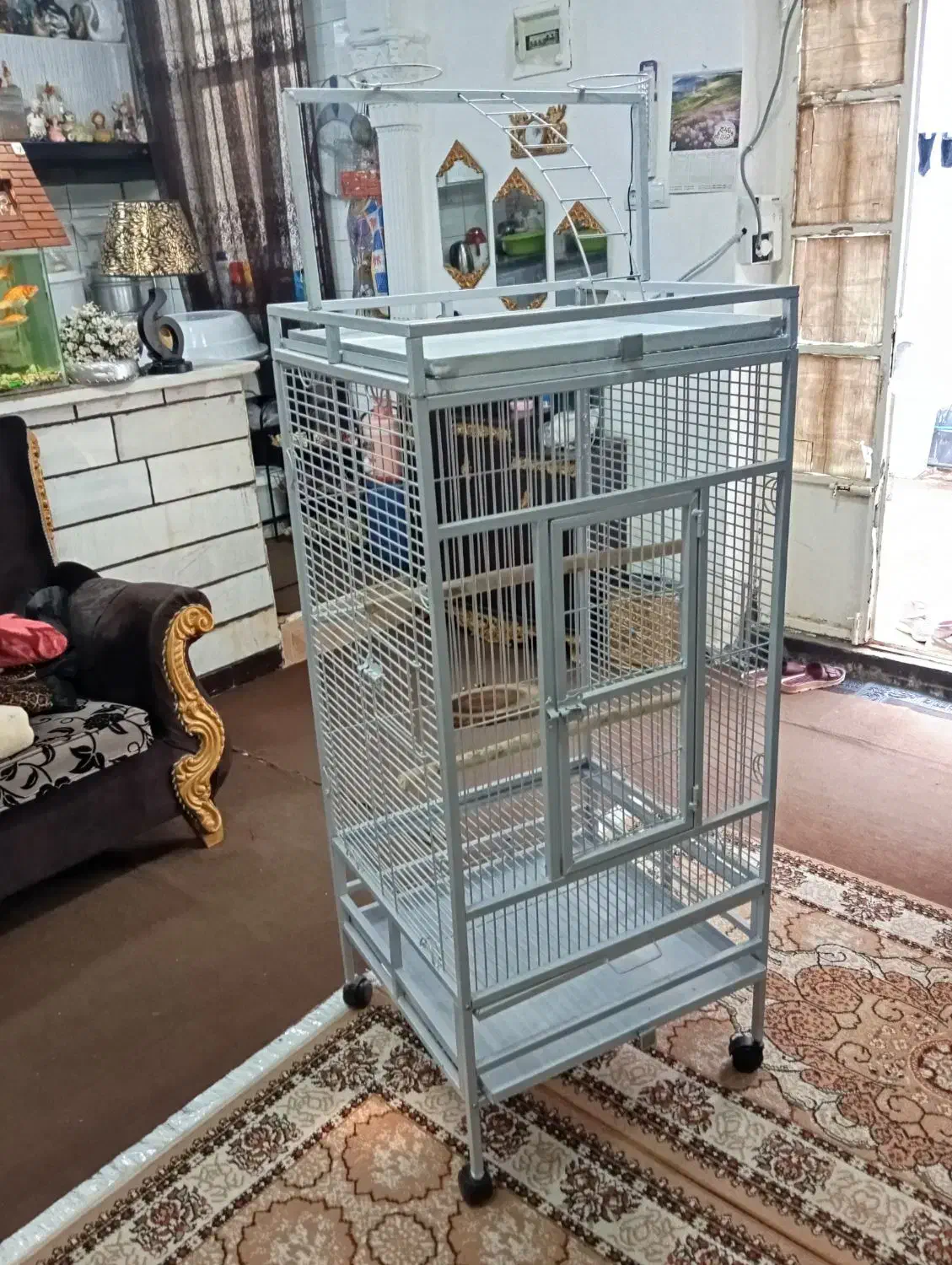 قفس|لوازم جانبی حیوانات|آبادان, |دیوار