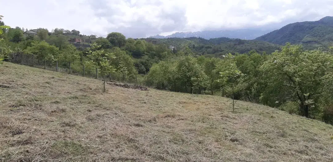 فروش زمین|فروش زمین و ملک کلنگی|فریم, |دیوار