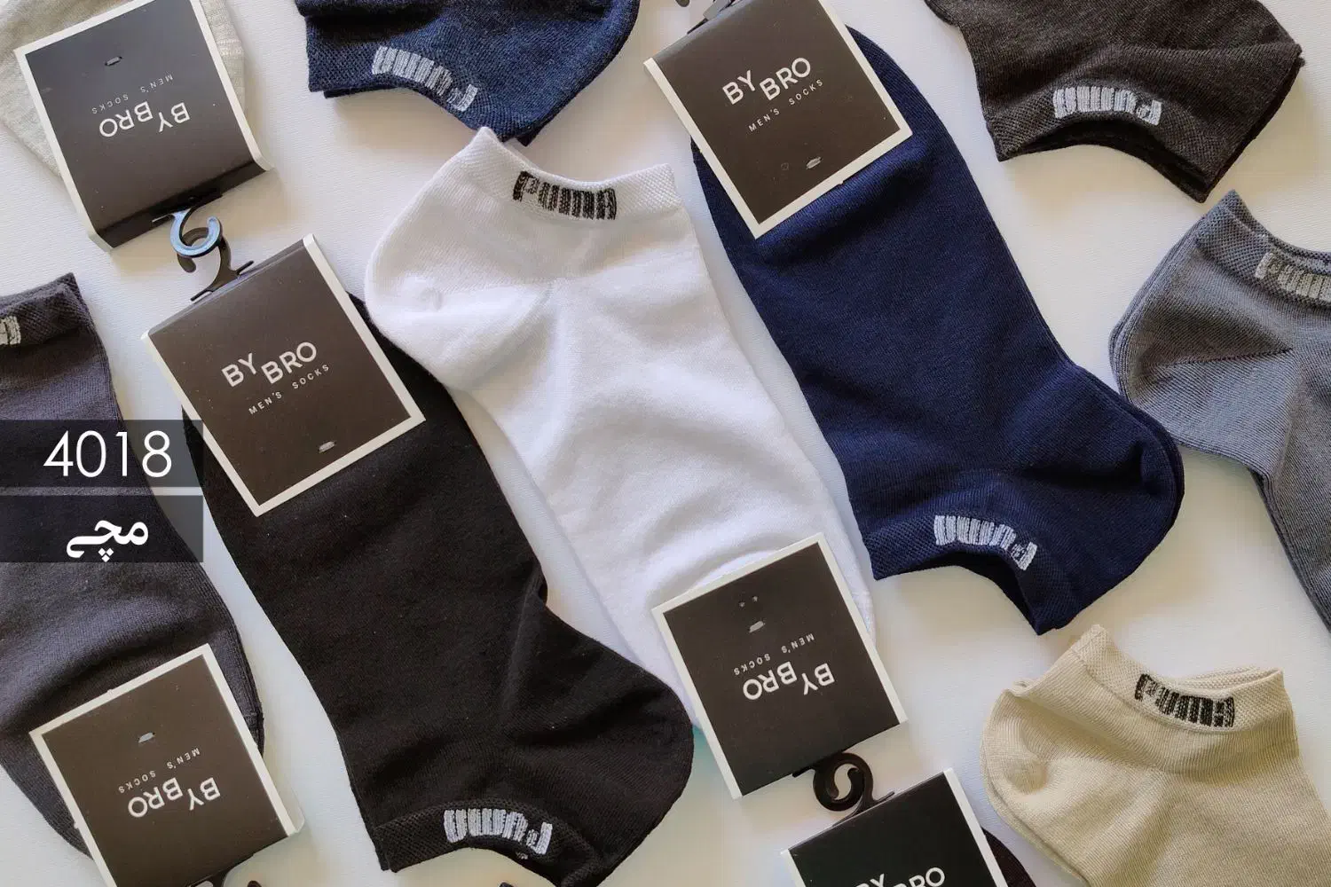 پخش عمده جوراب و لباس زیر مردانه|لباس|بانه, |دیوار