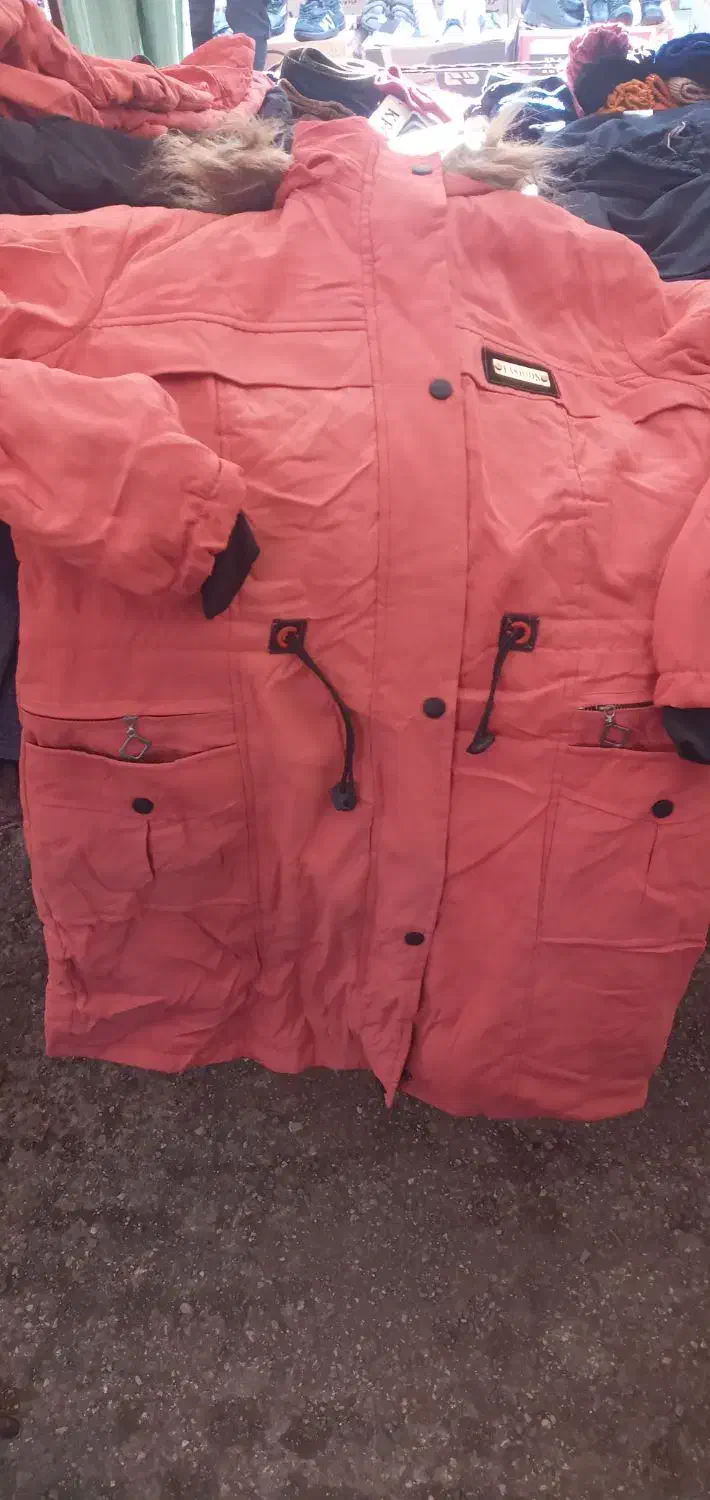 پالتو زنانه درچهار رنگ داخل خز|لباس|علی‌آباد کتول, |دیوار