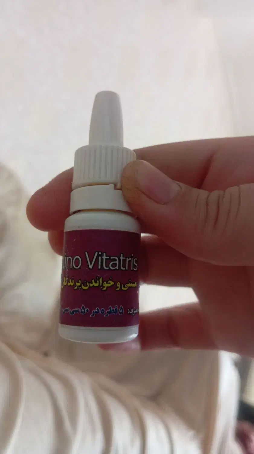 قطره آواز خواندن|لوازم جانبی حیوانات|شیراز, شیخ علی چوپان|دیوار