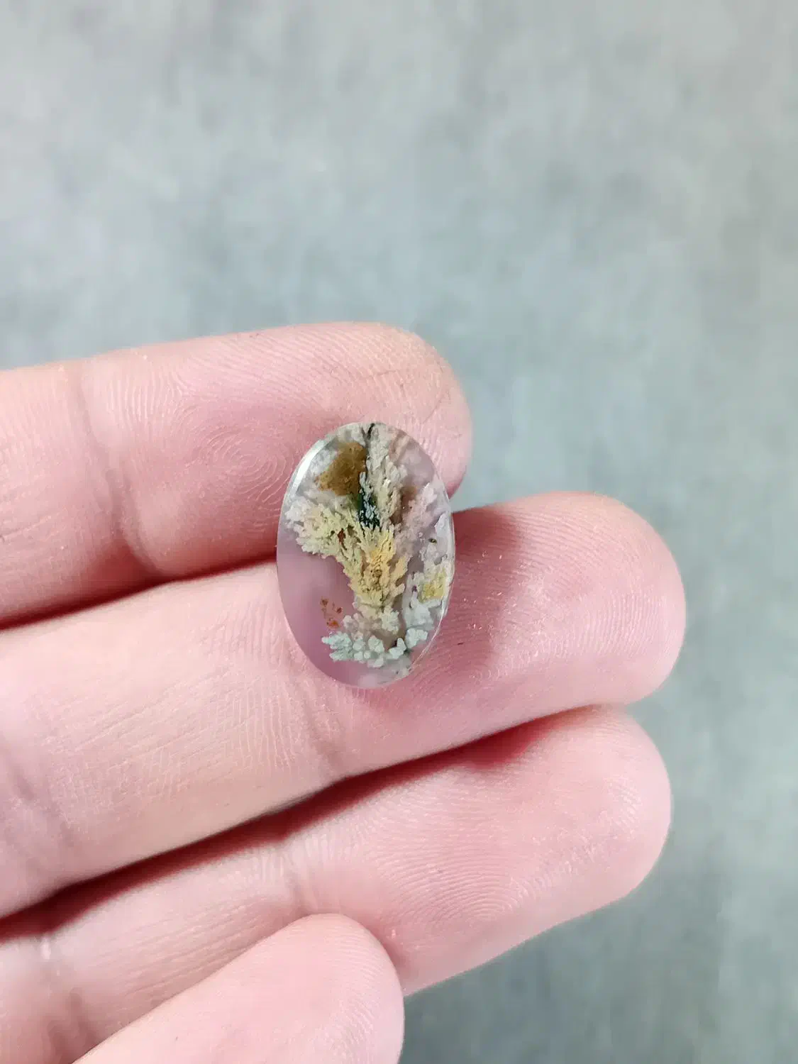 مجموعه عقیق شجر بهاره|جواهرات|بم, |دیوار