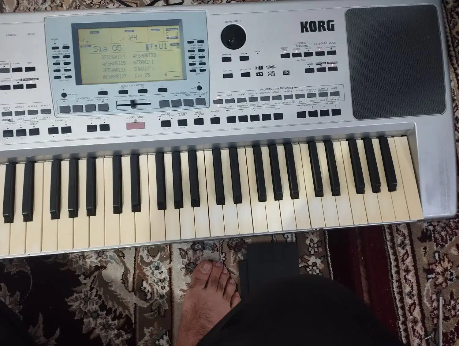 ارگ pa50تبدیل به80|پیانو، کیبورد، آکاردئون|زابل, |دیوار