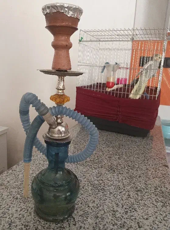 قلیان|کلکسیون و سرگرمی|چگنی, |دیوار