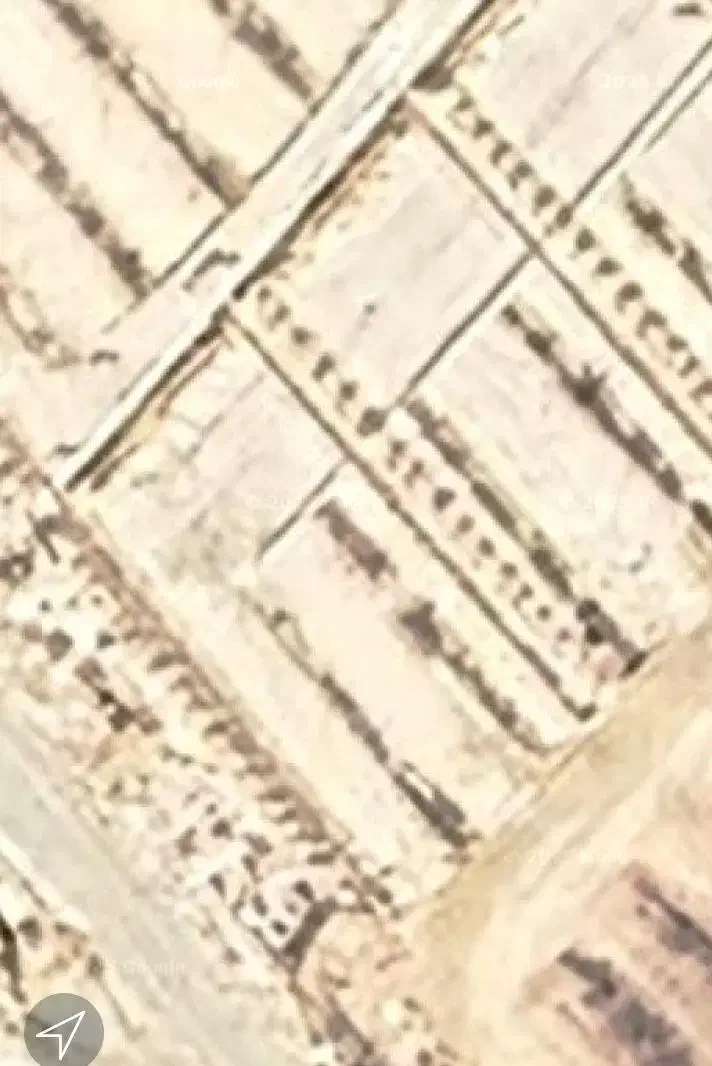 فروش دو قطعه زمین ۱۵قصبی در کفه خیر آباد|کلکسیون سکه، تمبر، اسکناس|سیرجان, |دیوار