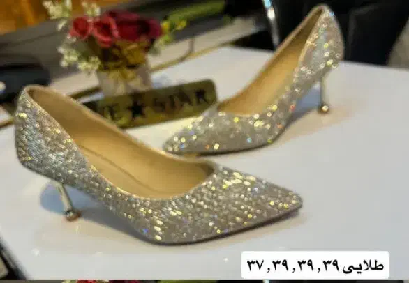 کفش مجلسی|کیف، کفش، کمربند|قروه, |دیوار