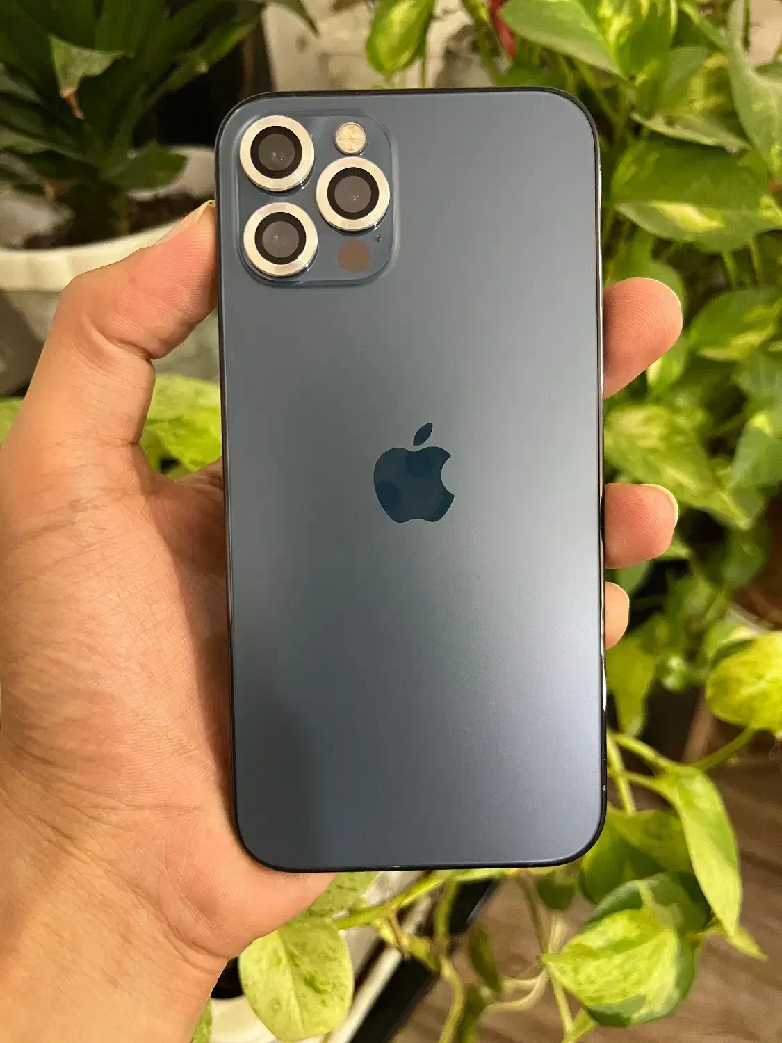 ایفون ۱۲ پرو|موبایل|بابل, |دیوار