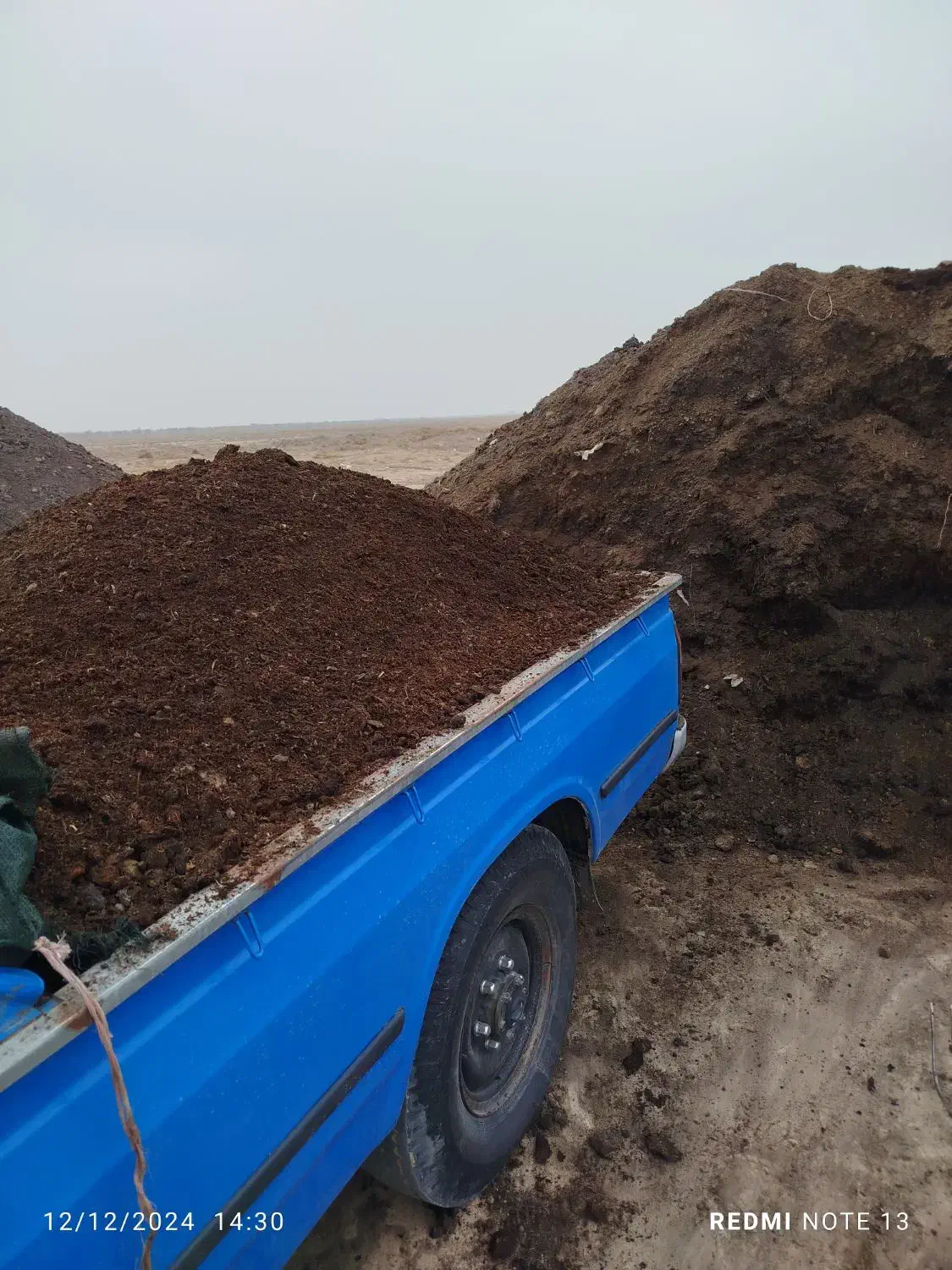 انواع کود گاوگوسفندی پوسید تحویل کل استان البر|خدمات باغبانی و درختکاری|کرج, کمال‌شهر|دیوار