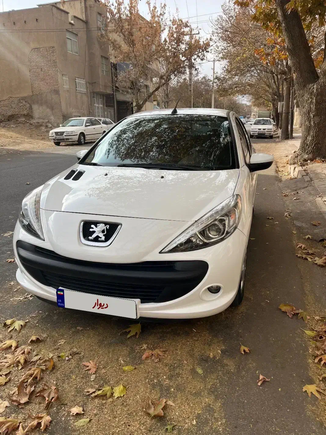 207مدل 1402|خودرو سواری و وانت|همدان, |دیوار