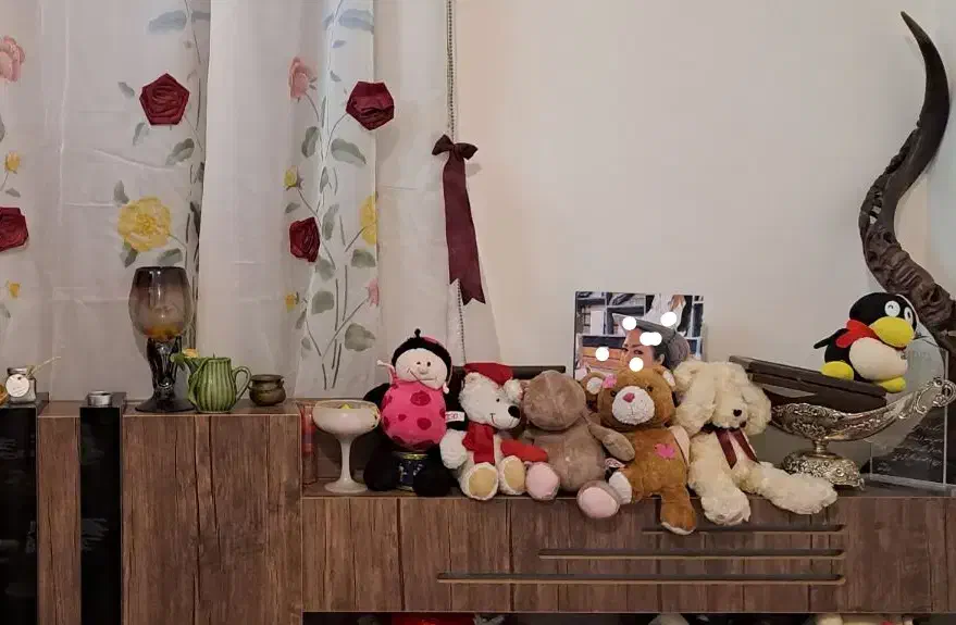 انواع عروسک تدی|اسباب‌‌بازی|مشهد, تربیت (صدف)|دیوار