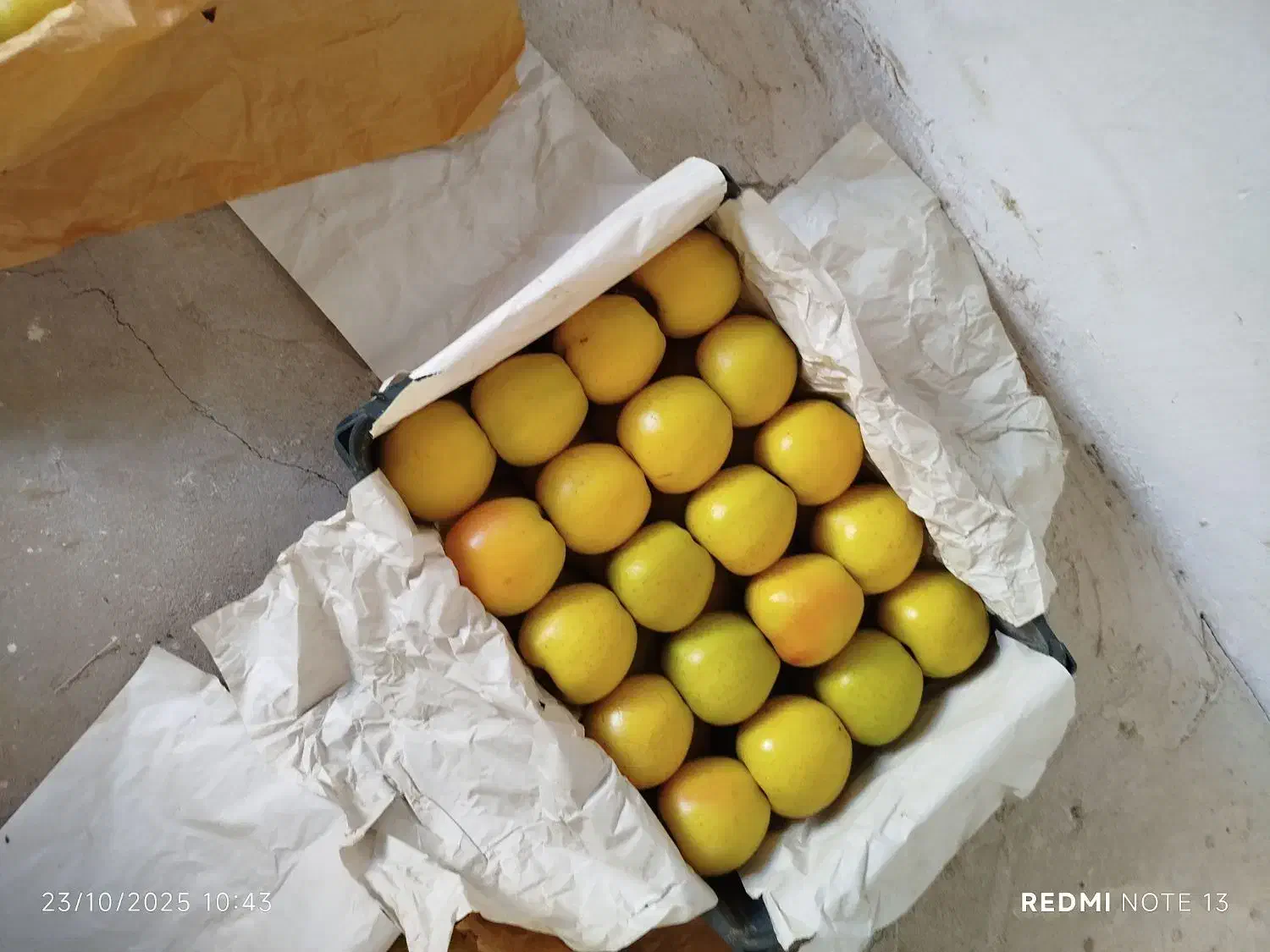 سیب|عمده‌فروشی|سرشیو, |دیوار