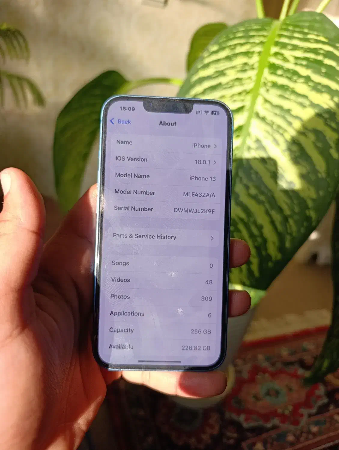 آیفون 13 نرمال zaa|موبایل|آزادشهر, |دیوار