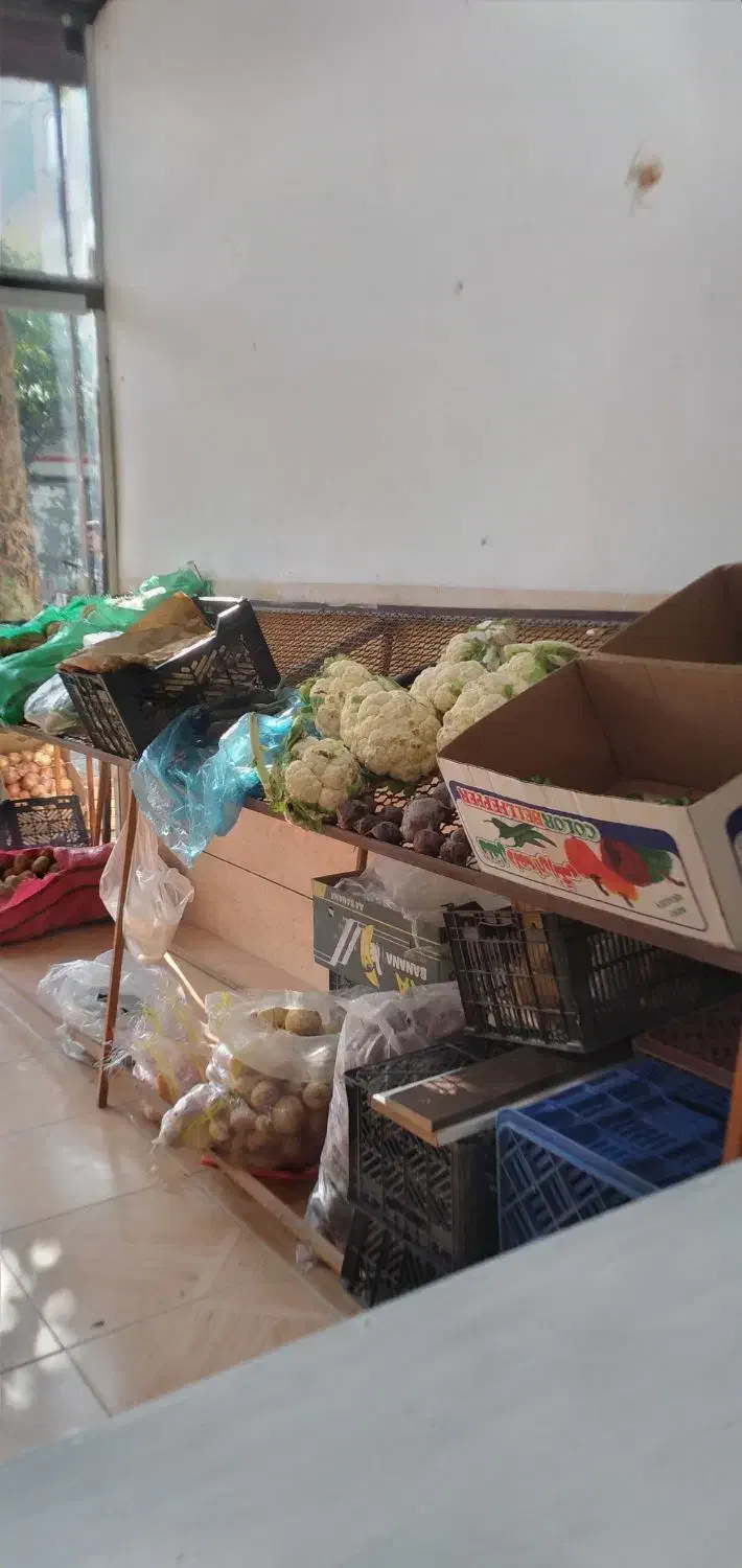 قفسه میوه فروشی|فروشگاه و مغازه|علی‌آباد کتول, |دیوار