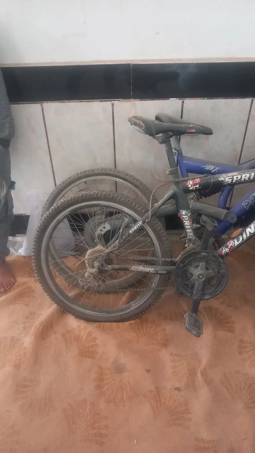 دوعدد دوچرخه ۲۴|دوچرخه، اسکیت، اسکوتر|آزادشهر, |دیوار