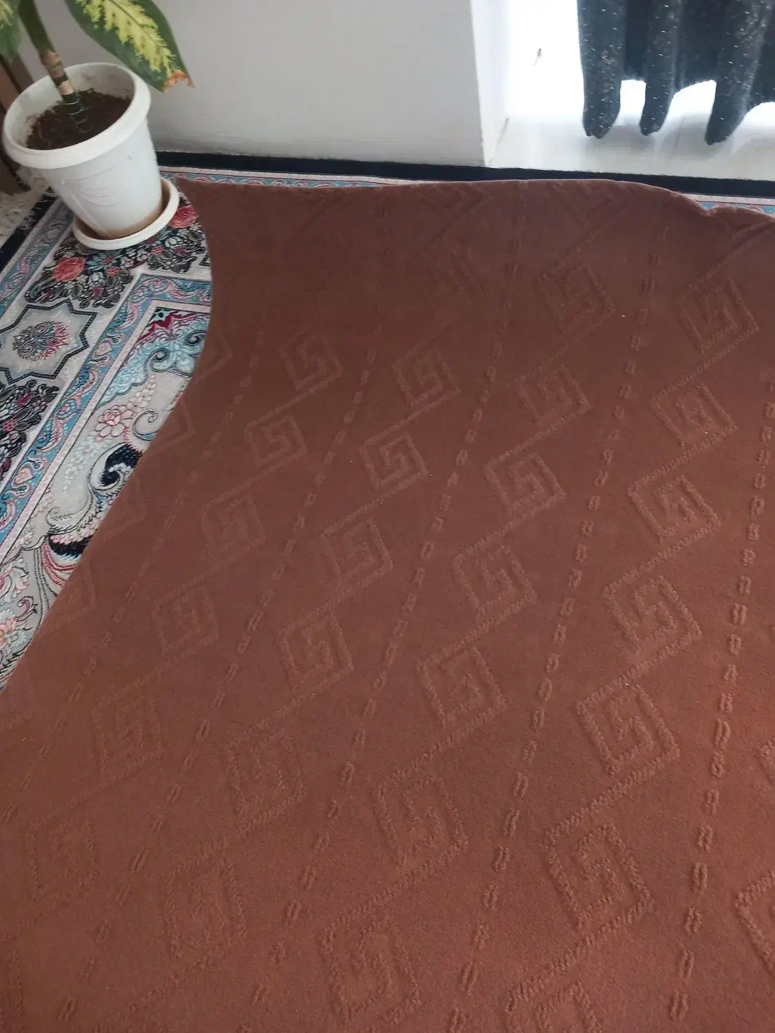 موکت طرحدار با کیفیت|موکت|بروجن, |دیوار