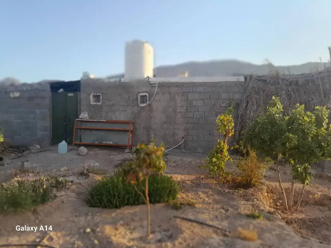 فروش باغ شهری محمودآباد میان جنگل فسا|فروش خانه و ویلا|فسا, |دیوار