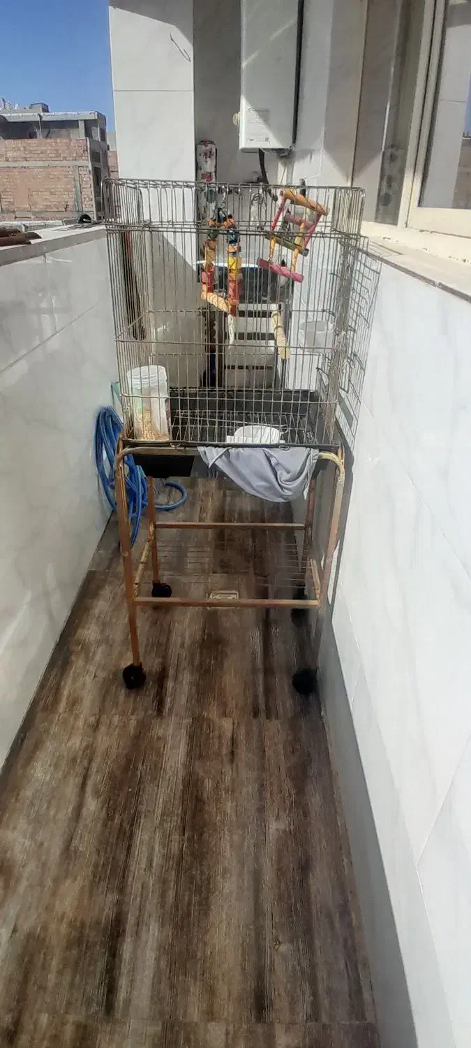 قفسه|لوازم جانبی حیوانات|بهارستان, |دیوار