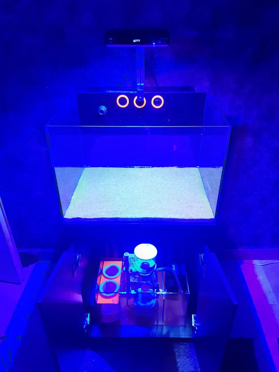 آکواریوم آب شور|ماهی|تهران, سلسبیل شمالی|دیوار