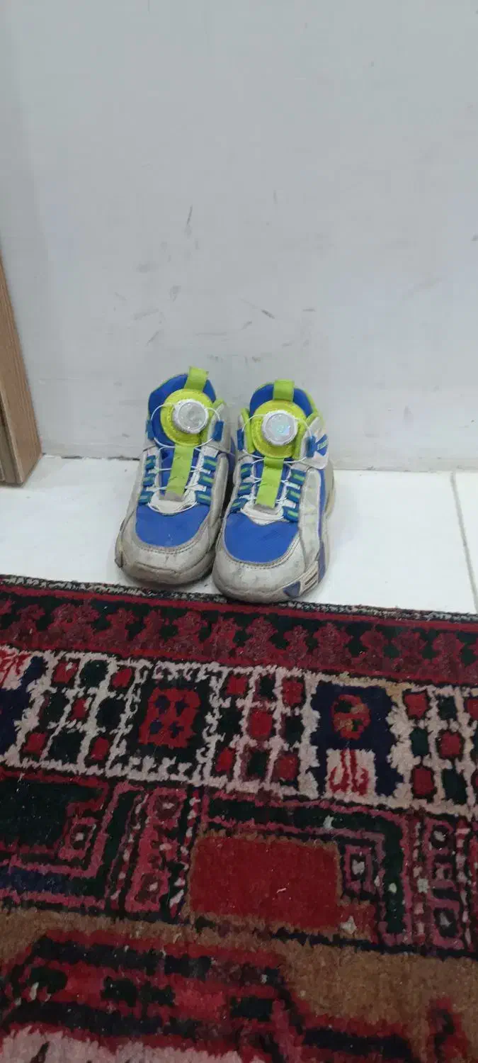 کاپشن و هودی و کتانی|کفش و لباس بچه|میانه, |دیوار