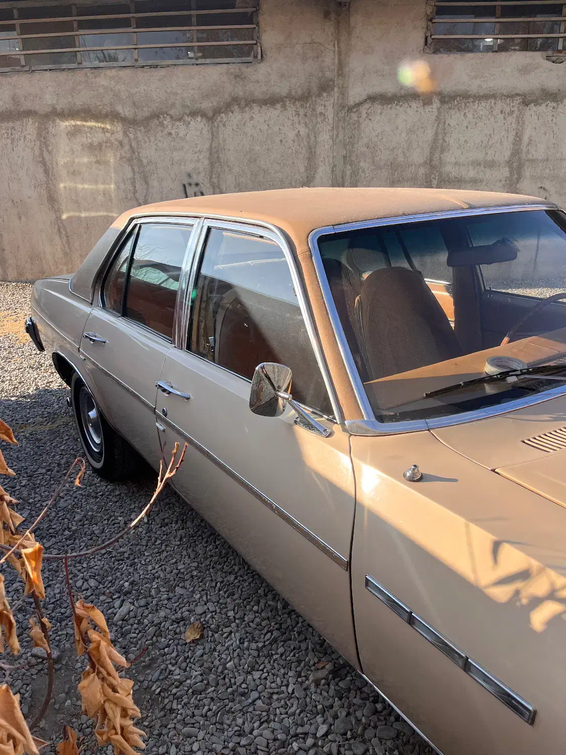 بیوک ۶۴|خودرو کلاسیک|کرج, چمن|دیوار