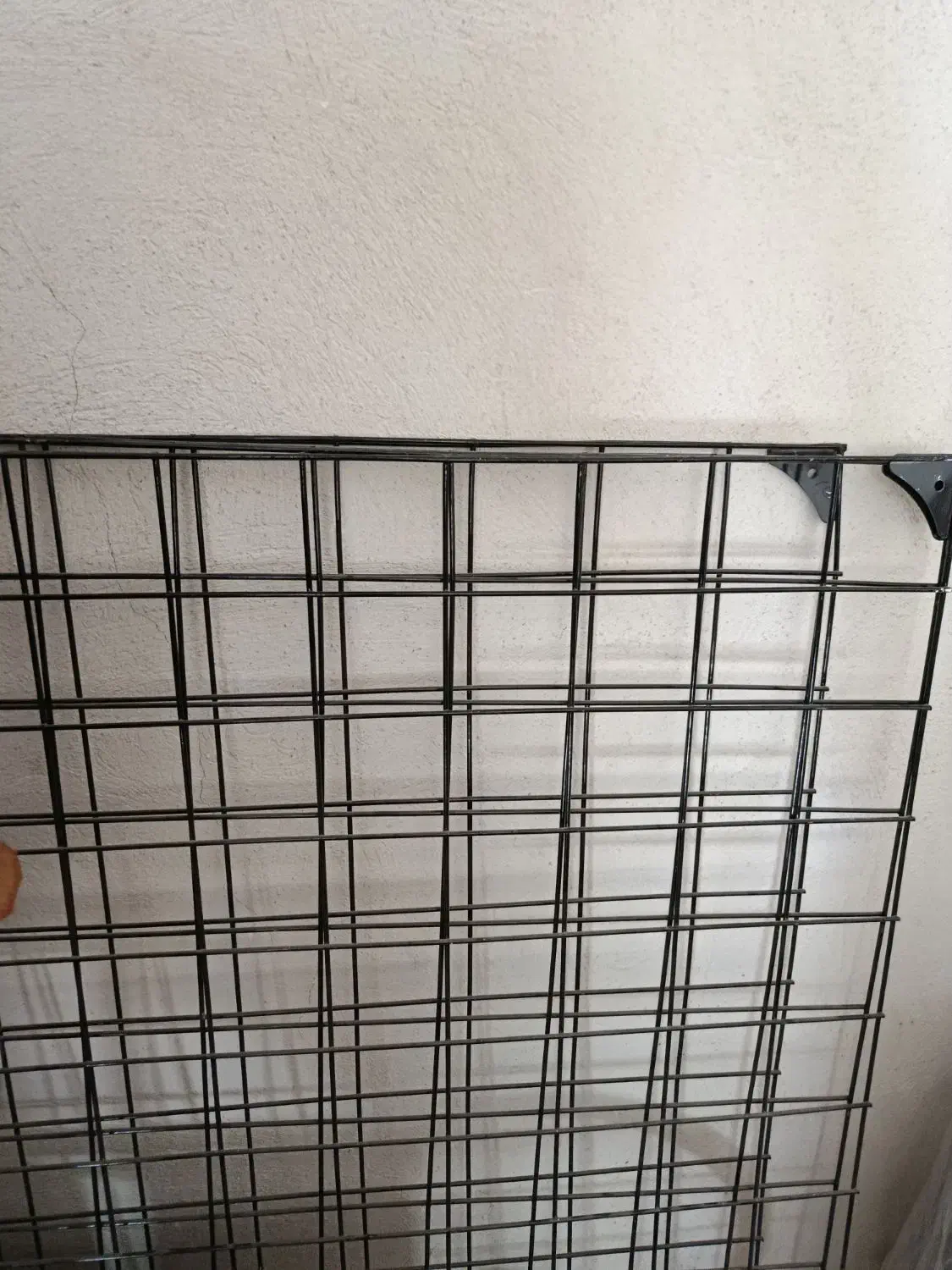 توری و رگال|فروشگاه و مغازه|ایوان, |دیوار