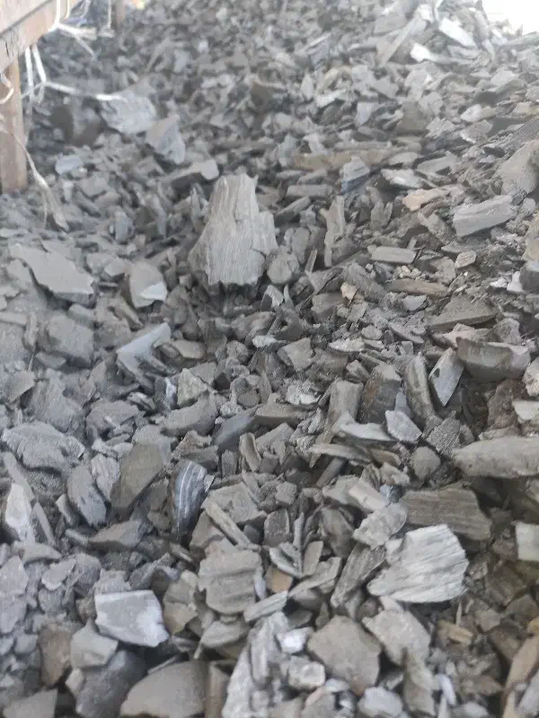 جذب نیروی کار|استخدام صنعتی، فنی، مهندسی|نکا, |دیوار