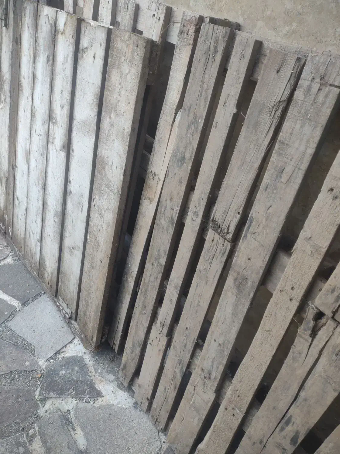 چوب مناسب زغال و آتش زدن|عمدهفروشی|رودسر, |دیوار