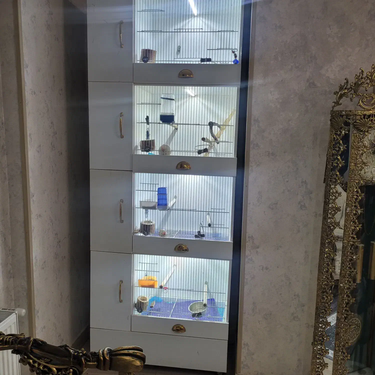 قفس چوبی اروپایی|لوازم جانبی حیوانات|قدس, شهرقدس|دیوار