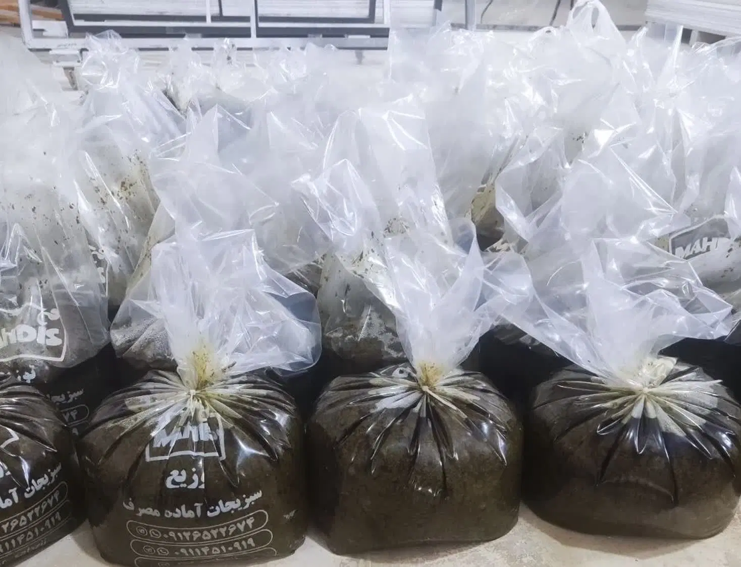 سبزی قورمه سرخ شده|خوردنی و آشامیدنی|تهران, ترمینال جنوب|دیوار