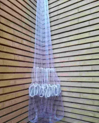 تورماهیگیری|ماهیگیری|بوشهر, |دیوار