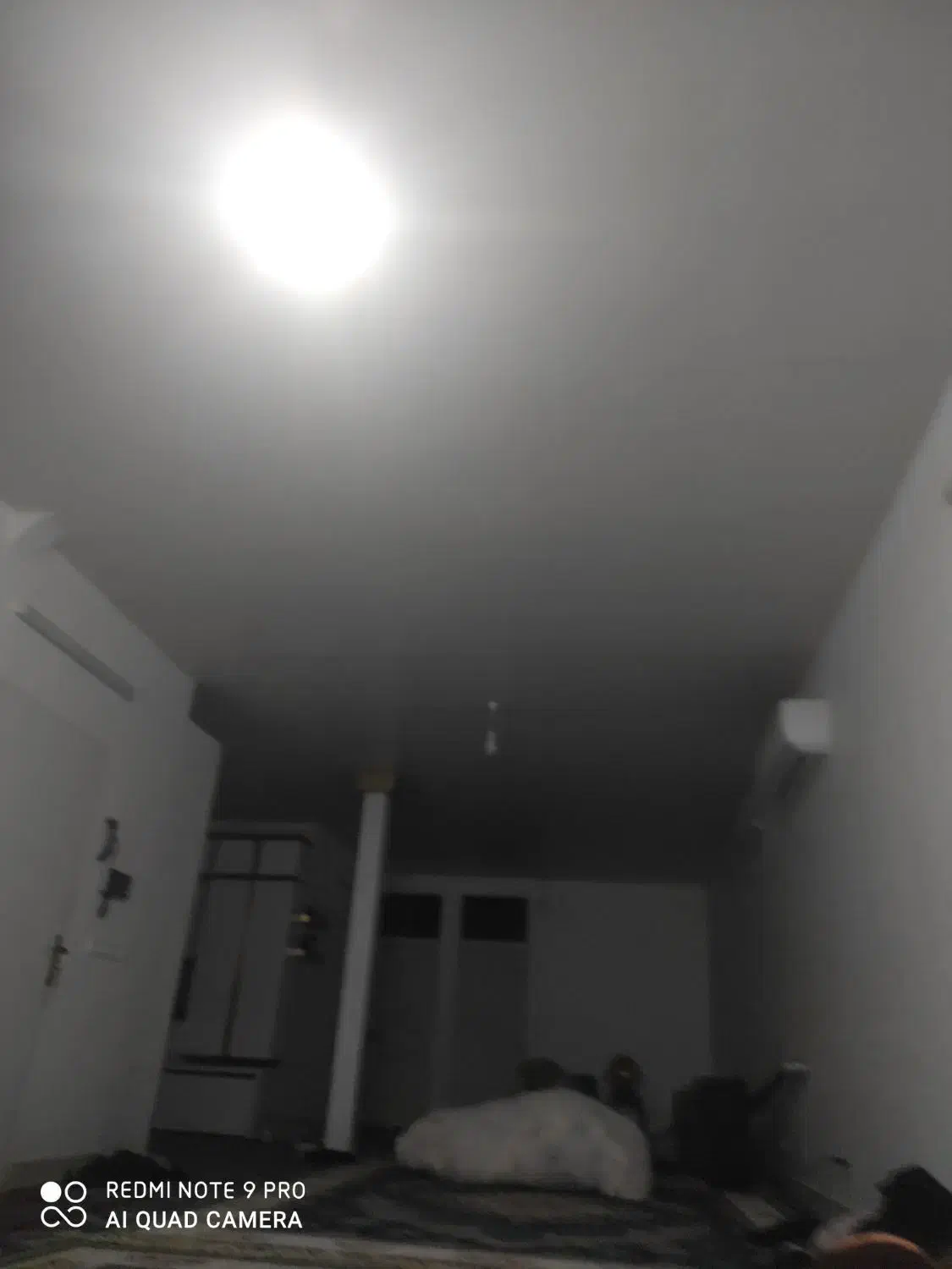 رنگ قالی کاموا قالی 9متری کامل|فرش|کاشان, راوند|دیوار