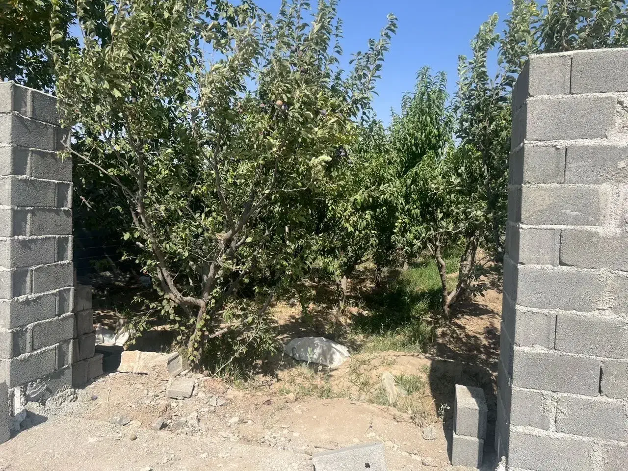 باغ ۴ دیواری|فروش دفتر صنعتی، کشاورزی، تجاری|رامجین, |دیوار