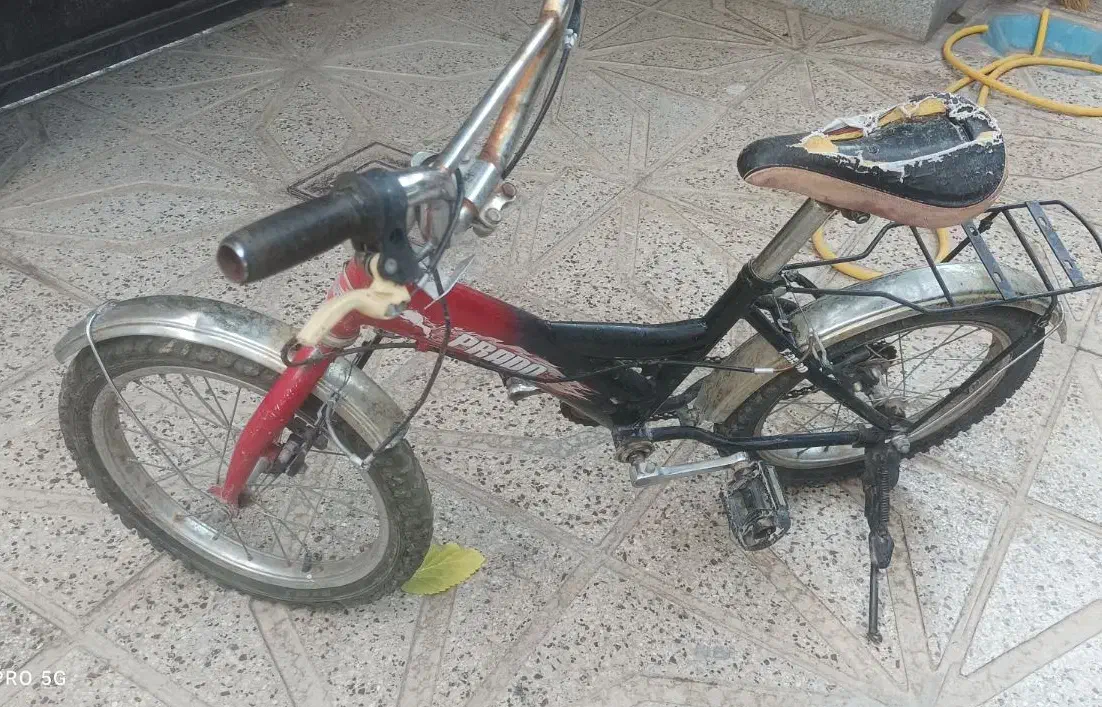 دوچرخه ۱۶|دوچرخه، اسکیت، اسکوتر|شاهرود, |دیوار