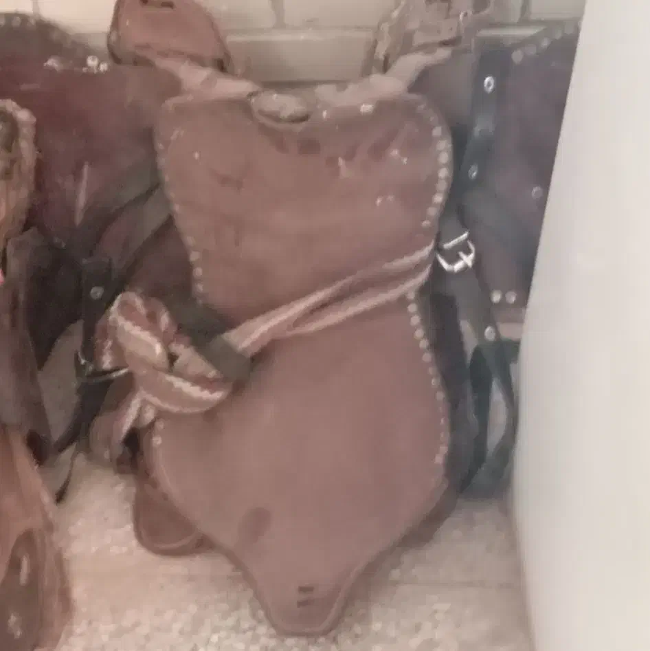 زین اسب|اسب و تجهیزات اسب‌سواری|میبد, |دیوار