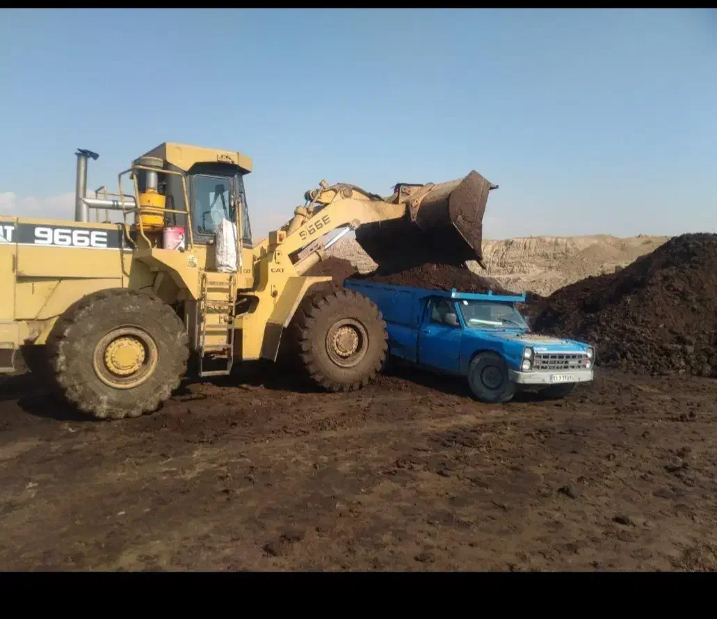 فروش کود حیوانی گاوی سوخته خشک|خدمات باغبانی و درختکاری|مشهد, توس (بلوار توس)|دیوار