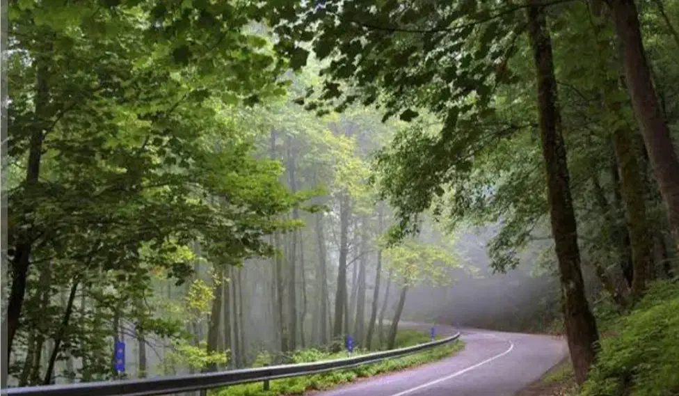 همسفر برای شمال|فعالیت داوطلبانه|تبریز, |دیوار