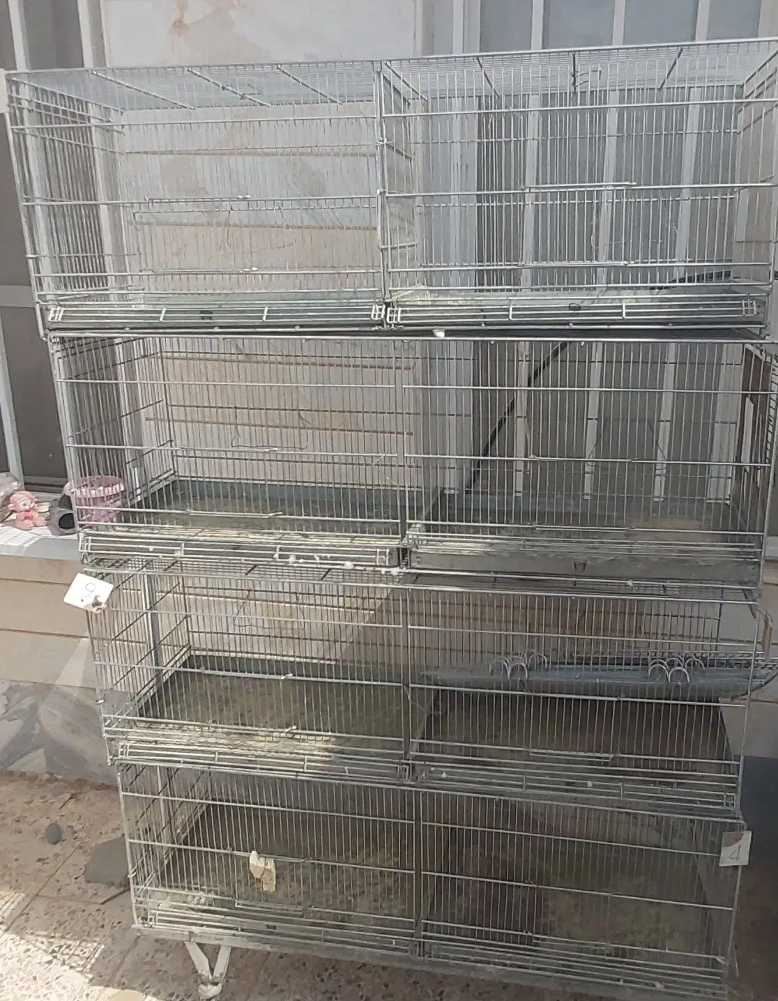 قفس هشت خان|لوازم جانبی حیوانات|کاشمر, |دیوار