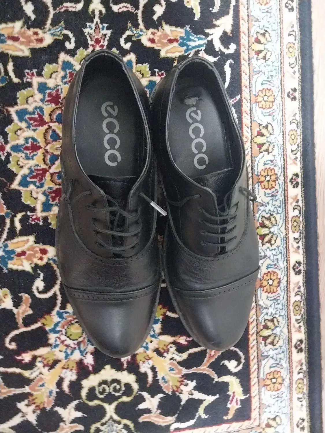 کفش مجلسی|کیف، کفش، کمربند|تهران, استخر|دیوار