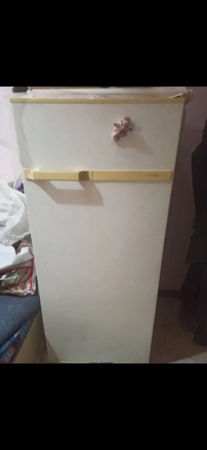 یخچال آزمایش|یخچال و فریزر|اهواز, گلستان|دیوار