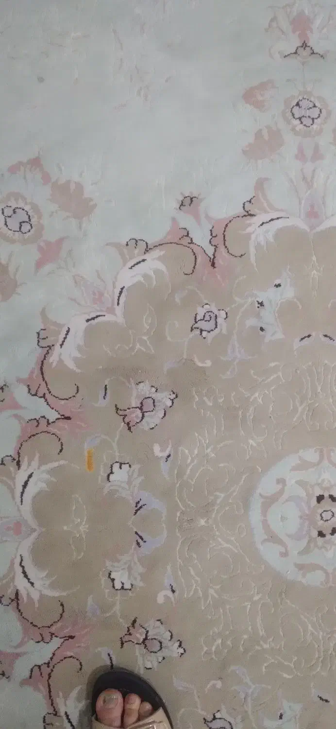 جفت فرش ۱۲متری|فرش|کرمانشاه, |دیوار