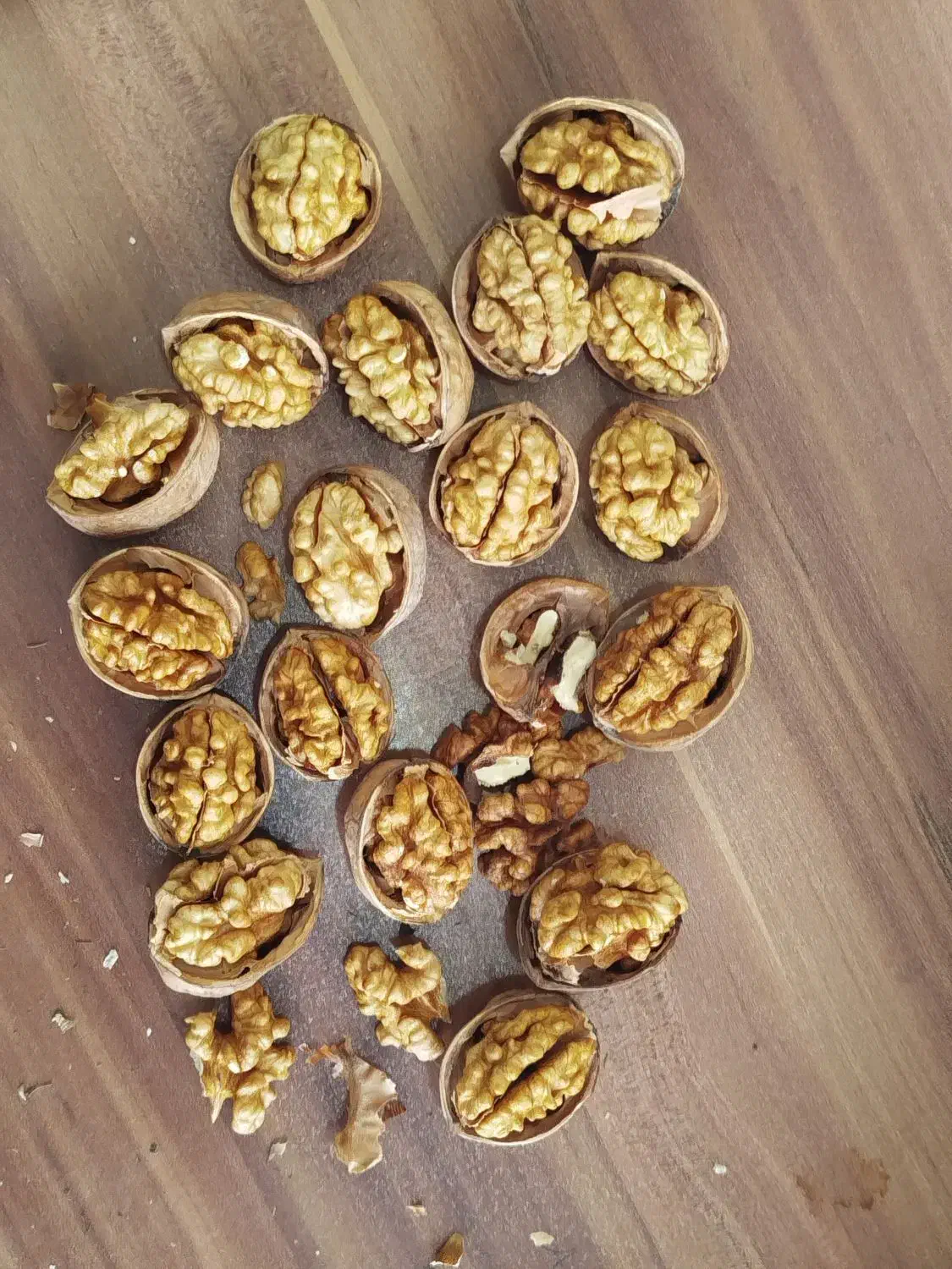 گردو و مغز گردو بلغاری درجه یک|خوردنی و آشامیدنی|مشکیندشت, |دیوار