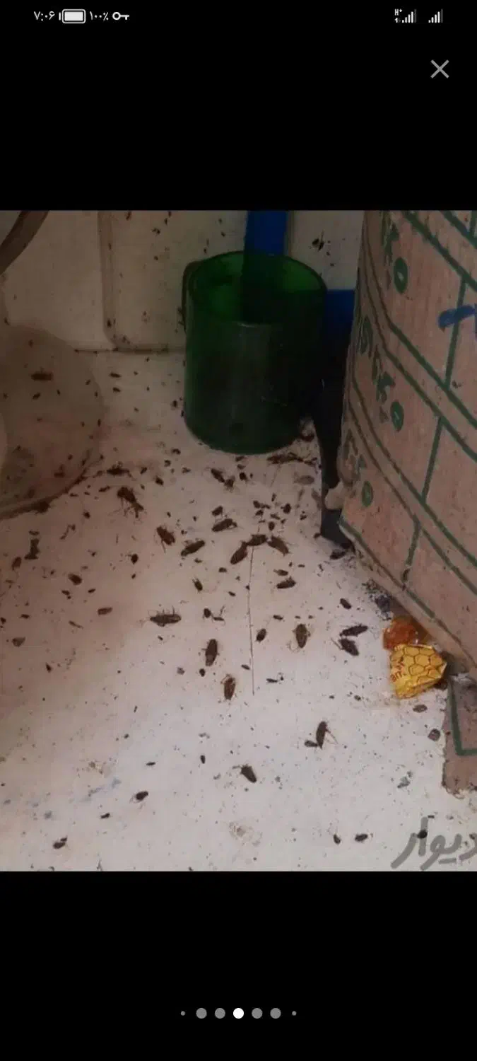 سمپاشی وهرس درختها وگولهاوسمپاشی خانهایمسکونیوت|خدمات باغبانی و درختکاری|سبزوار, توحیدشهر|دیوار